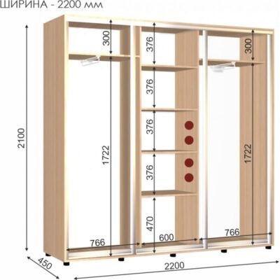 шкаф-купе ШК-13_2200_450_2100