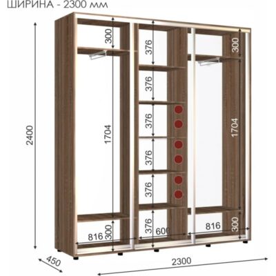 шкаф-купе ШК-14_2300_450_2400
